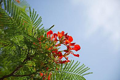 国内玩家手工打造3D可玩《恐龙快打》第一关